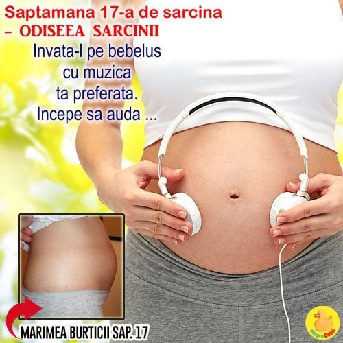 Cat de mare este burta in Saptamana 17 de sarcina: acum ai putea simti prima miscare a bebelusului drag (VIDEO)