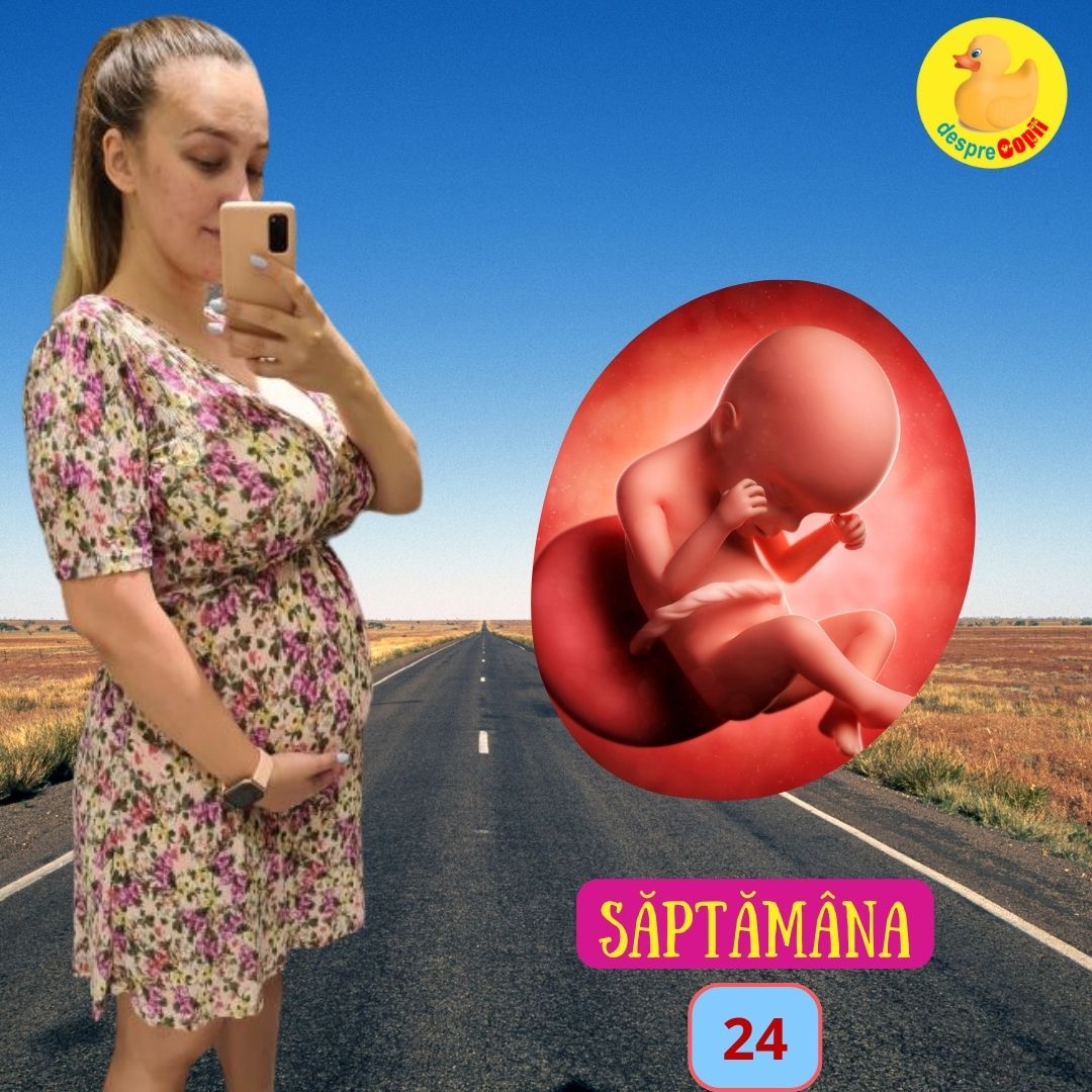 saptamana 24 des arcina