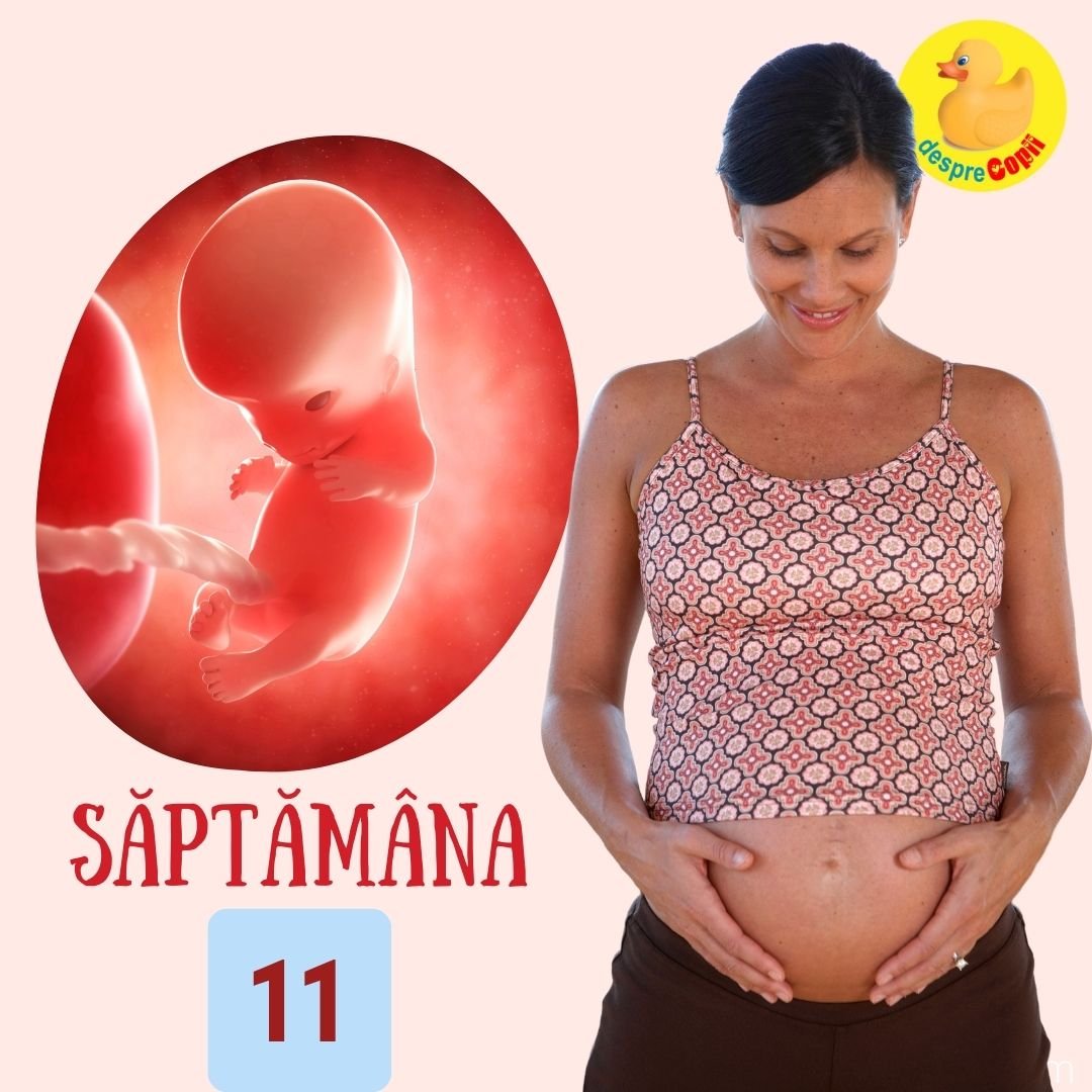 saptamana 11 de sarcina 