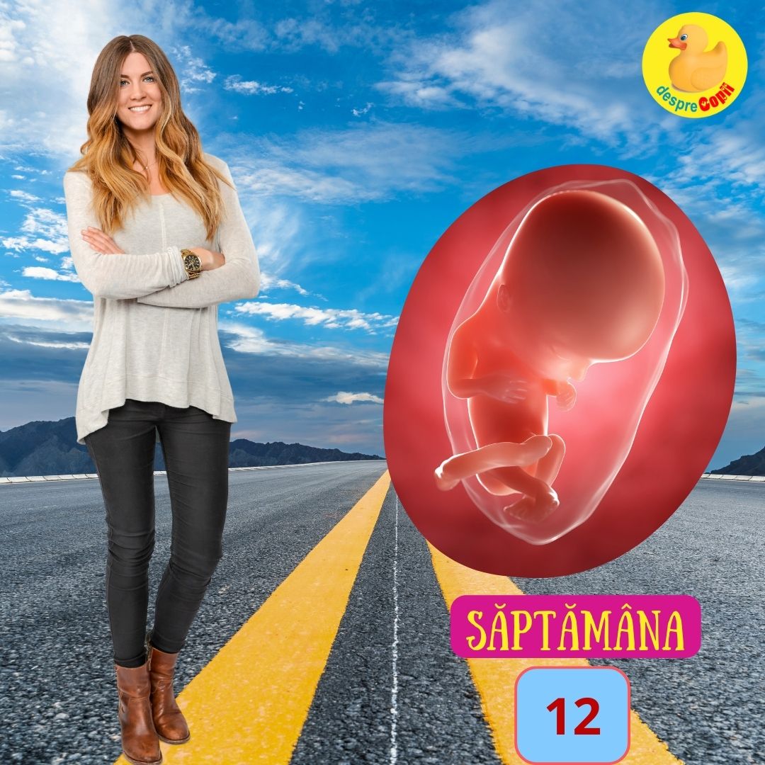 saptamana 12 sarcina