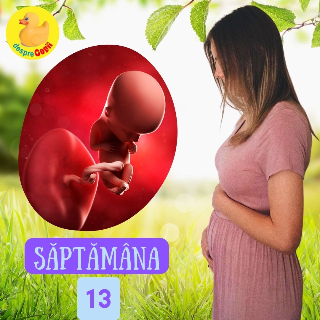 saptamana 13 sarcina