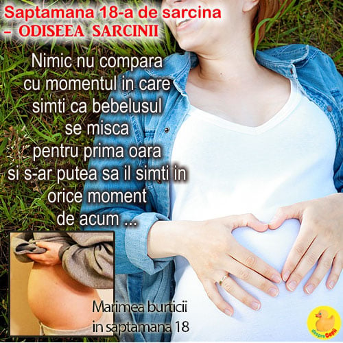 Cat de mare este burta in Saptamana 18 de sarcina: bebe incepe sa caste de somn sau de plictiseala (VIDEO)
