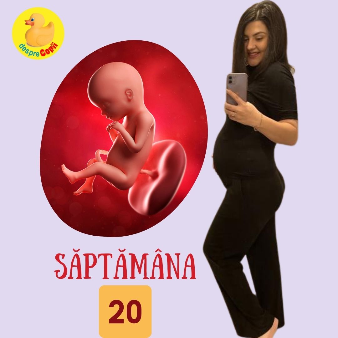 saptamana 20 de sarcina