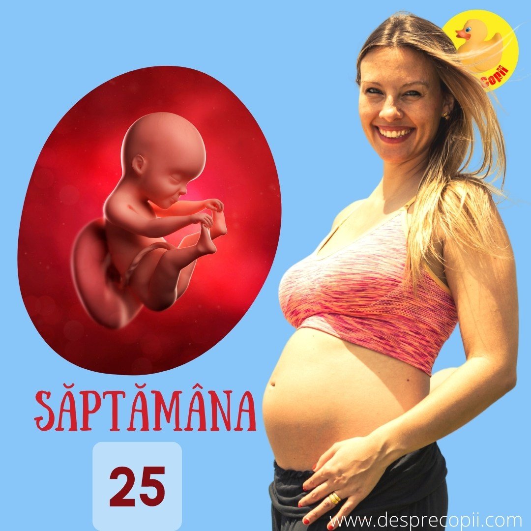 saptamana 25 de sarcina