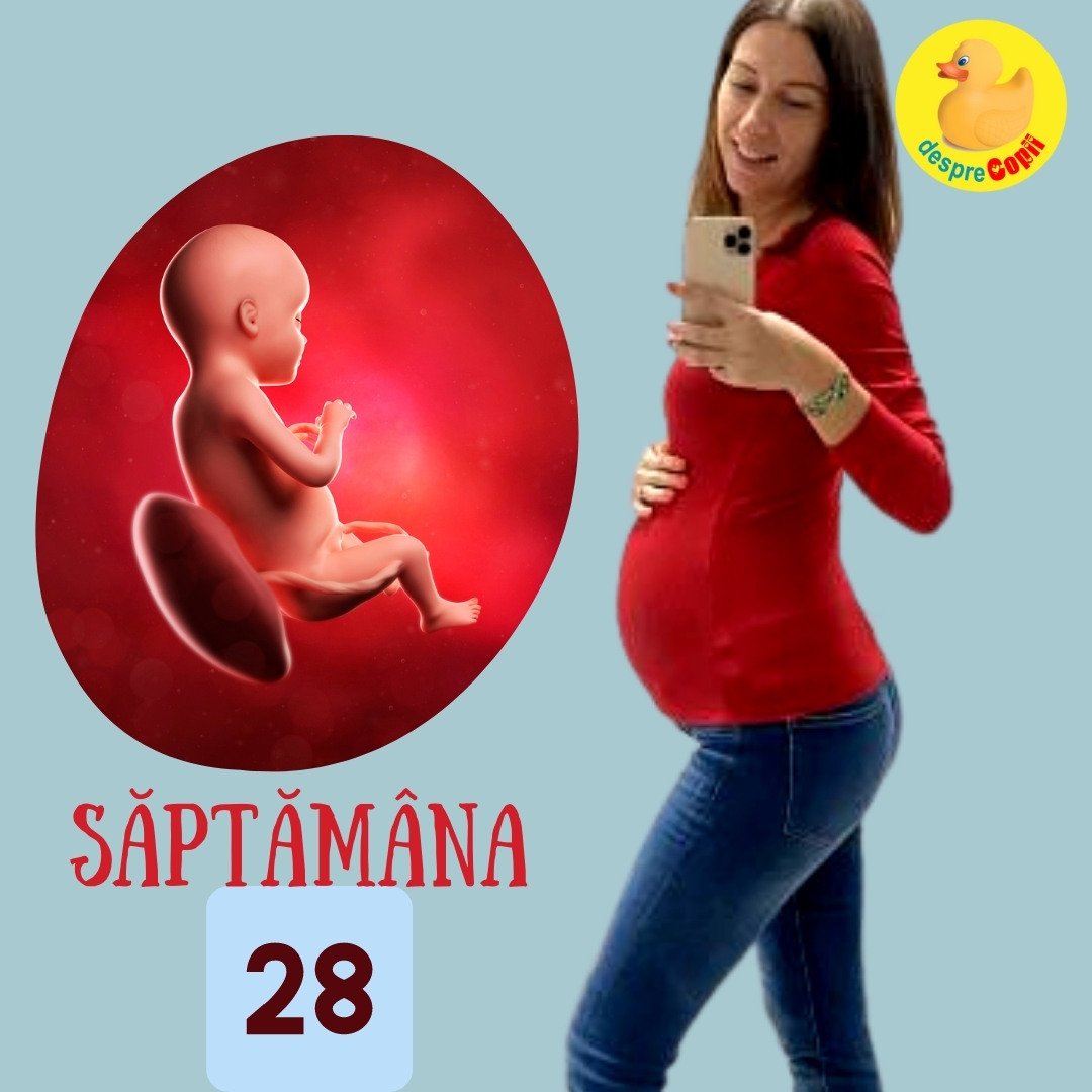 saptamana 28 de sarcina