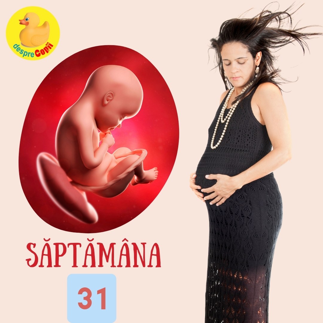 saptamana 31 sarcina