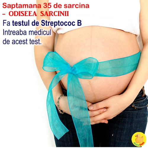 Cat de mare este burta in Saptamana 35 de sarcina: bebe creste in continuare si se acopera cu grasime (VIDEO)