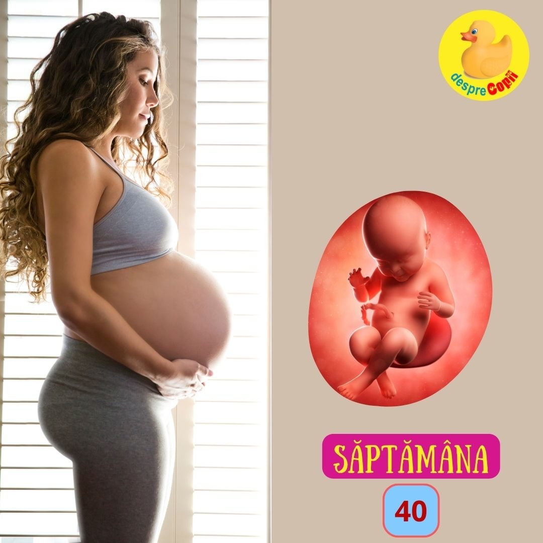 saptamana 40 de sarcina