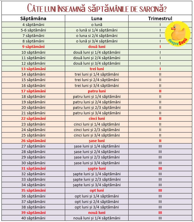 saptamani_luni_trimestre_sarcina-tabel