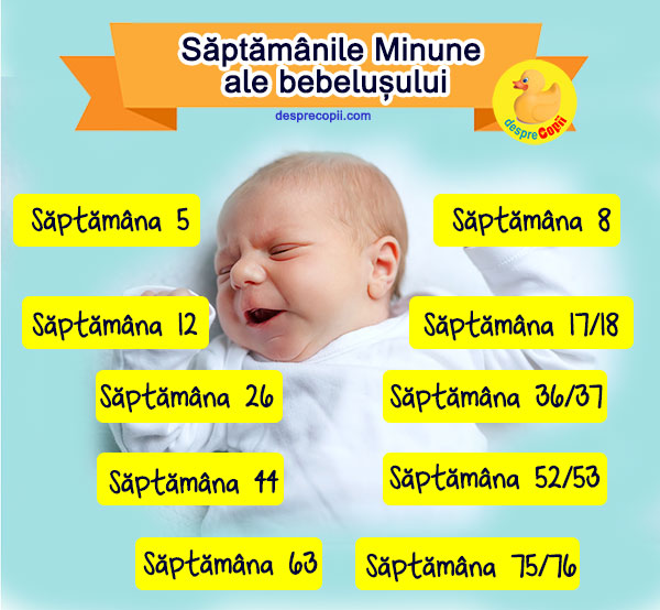 Saptamanile Minune Ale Bebelusului Cele 10 Saptamani Intense Din Dezvoltarea Primelor De Luni Desprecopii Com