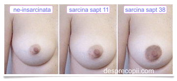 sani in sarcina