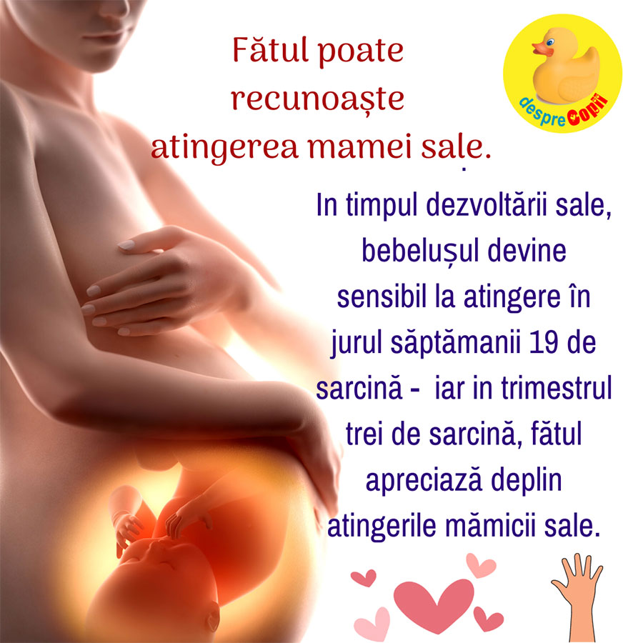 sensibilitate atingere fat sarcina