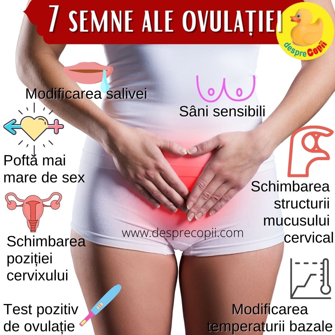 semne ovulatie