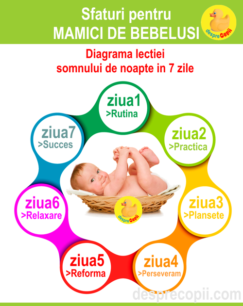 somnul bebelusului diagrama