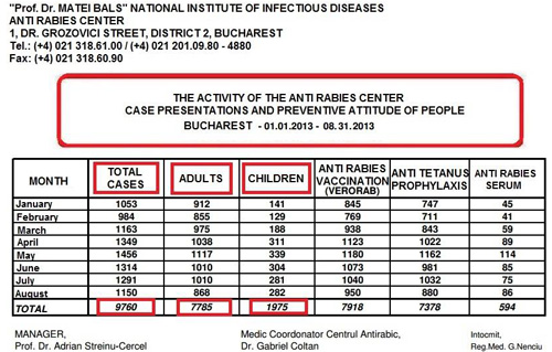 /Images/statistics Bucharest 2013.jpg