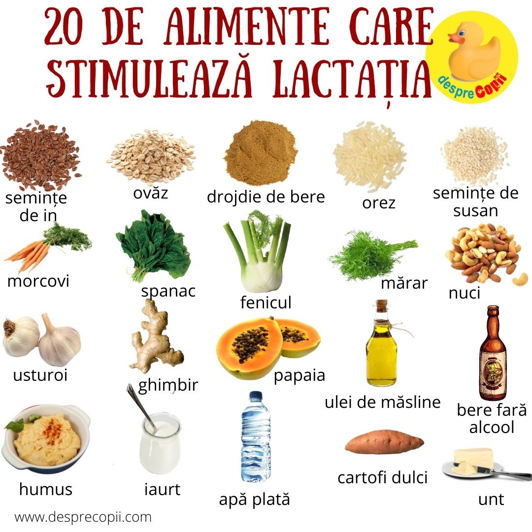 alimente pentru stimularea lactatiei 