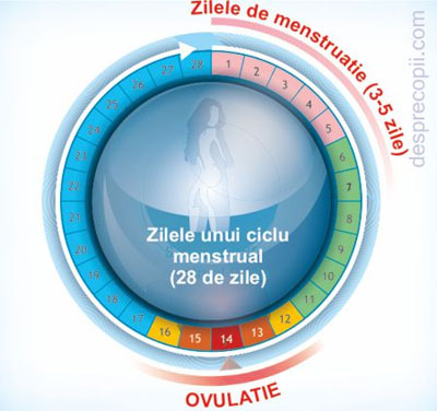 /Images/tata-zile-menstruatie.jpg