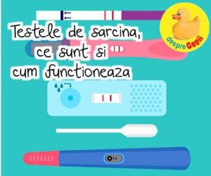 7 Teste De Sarcină Pe Care Le Poți Prepara Singură I N Casă