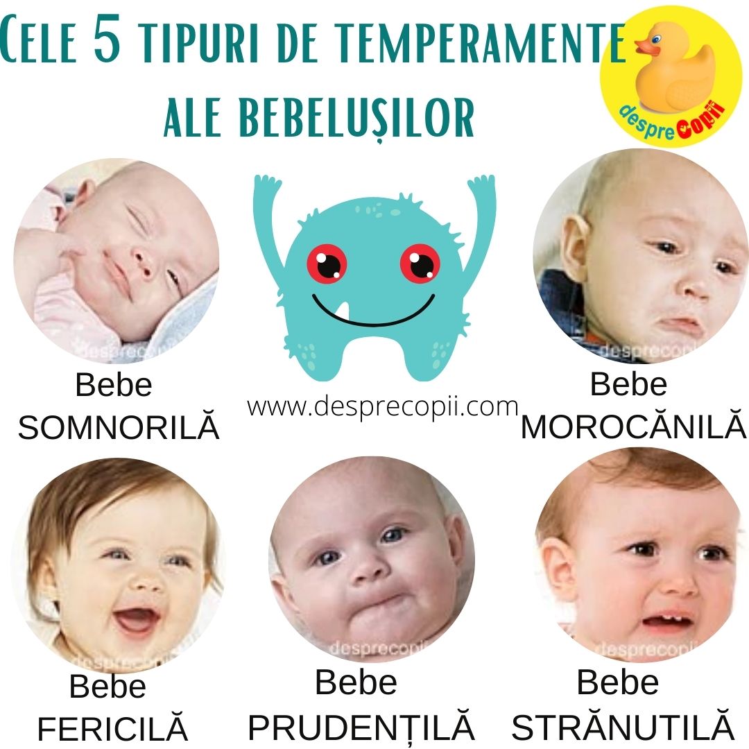 temperament bebelusi