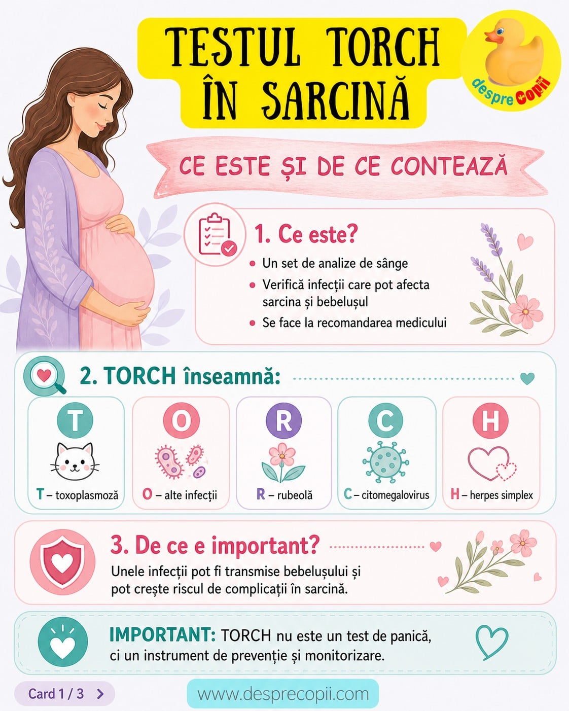 testul torch sarcina 1