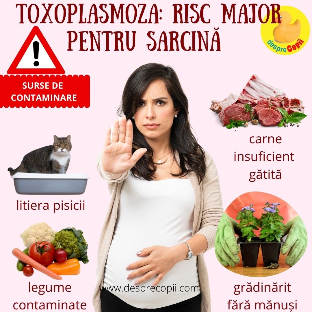 toxoplasmoza sarcina