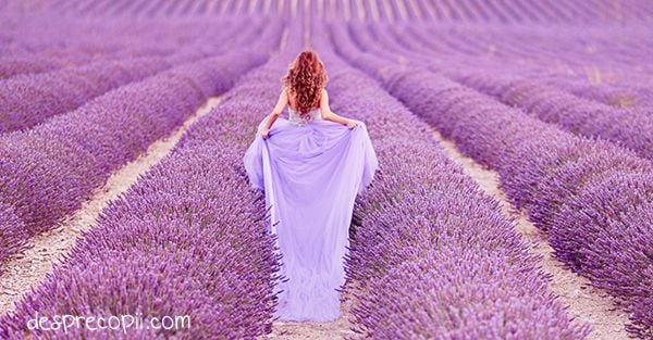 ulei de lavanda sarcina