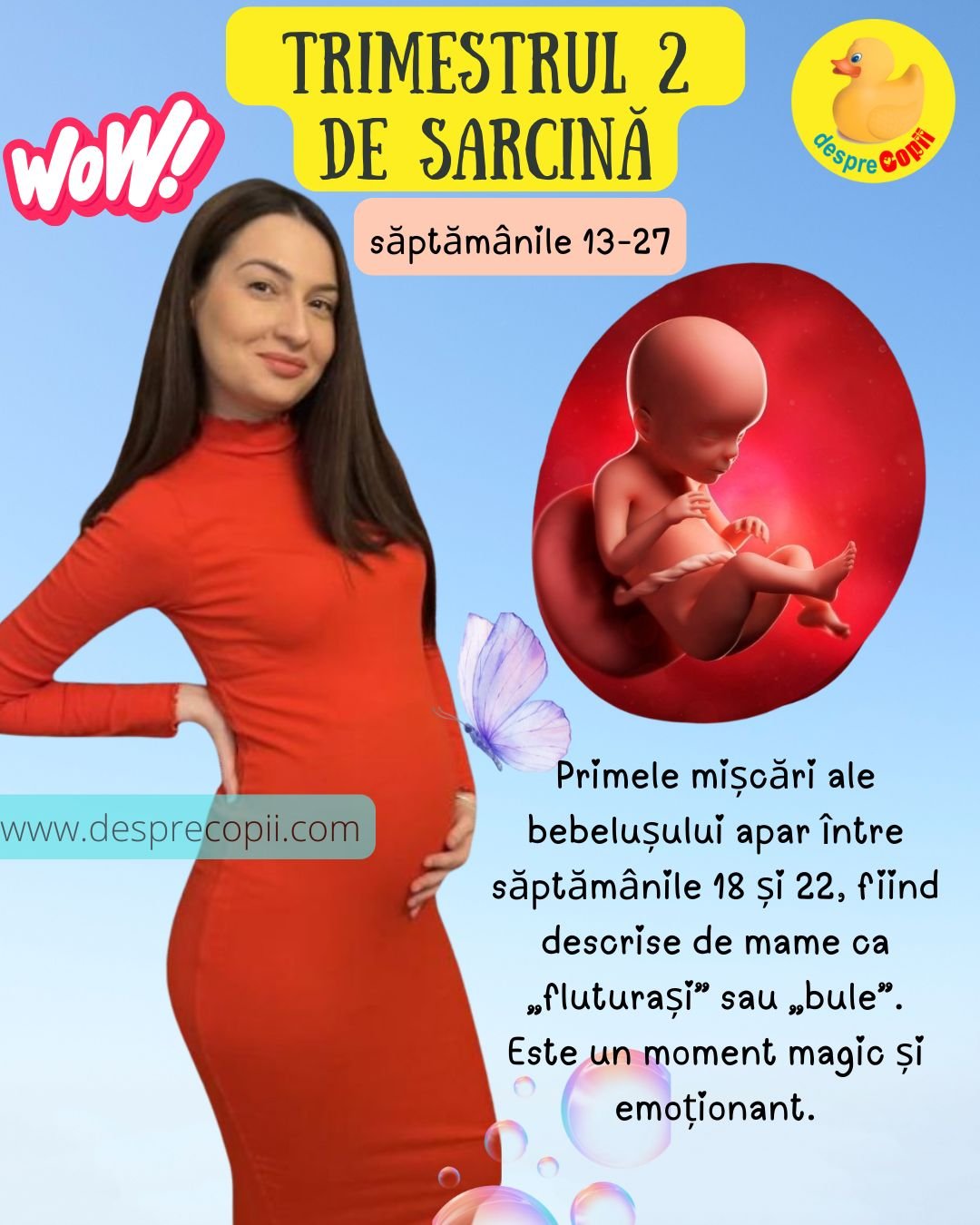 saptamana 18 sarcina