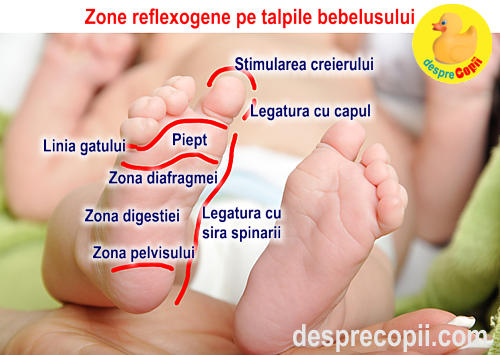 reflexoterapia bebelusi talpi