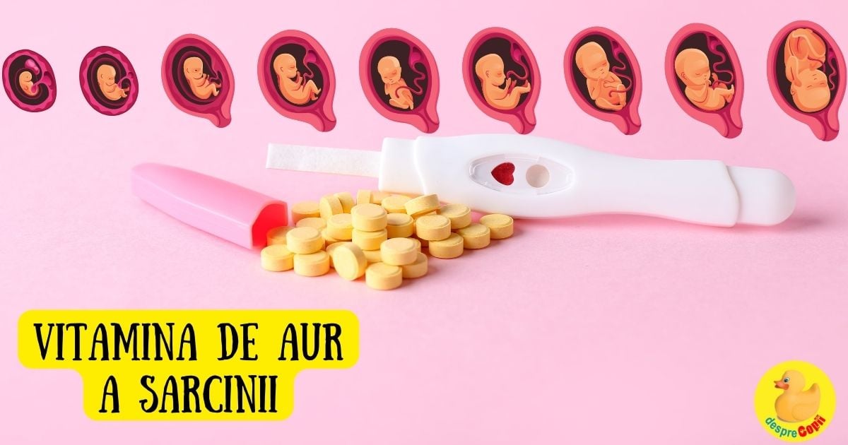 Acidul folic: cum protejeaza sarcina si de ce este numita vitamina de aur a sarcinii - infografic width=