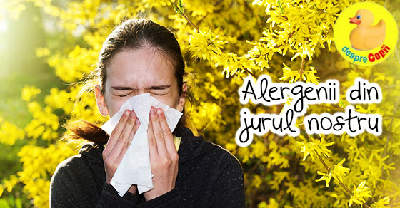 Alergenii din jurul nostru