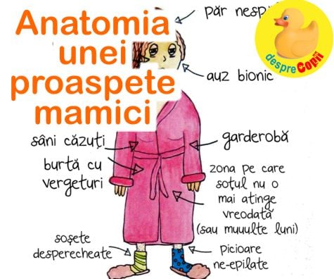 Anatomia unei proaspete mamici