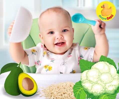 Avocado, conopida si orez - reteta pentru bebelusi