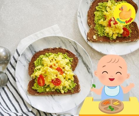 Sandwich cu avocado si galbenus - reteta pentru bebelusii de 1 an