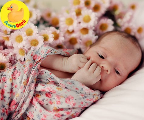Bebelușii născuți in iunie - 8 lucruri amuzante dar esențiale de știut