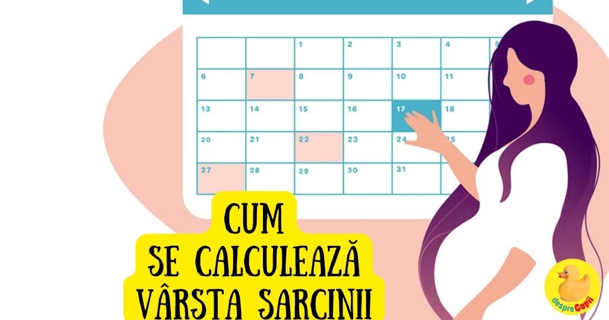Cum se calculeaza varsta sarcinii. Aceasta este metoda corecta si CALCULATOR width=