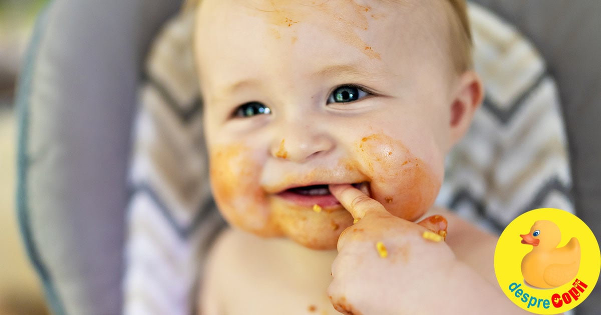 CARNEA in alimentația bebelușului: CÂND, CÂT și CUM