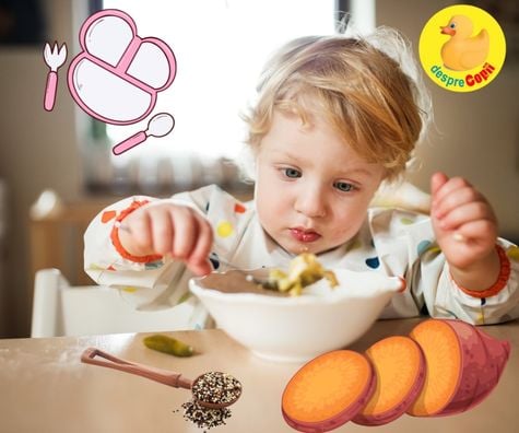 Caserola de cartofi dulci, pui si quinoa - reteta pentru bebelusii de 1 an