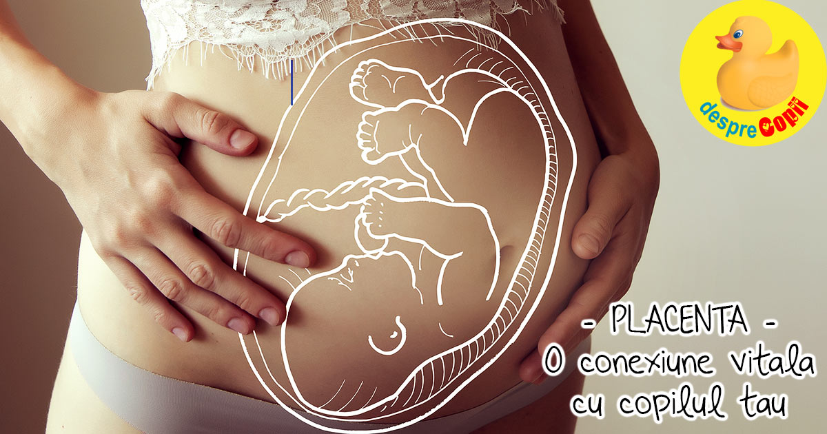 Placenta: acea conexiune vitala cu bebelusul. Iata cum avem grija de ea si ce complicatii pot aparea - sfatul medicului width=