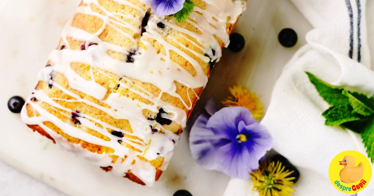 Chec cu afine: un desert simplu cu gust intens si textura pufoasa