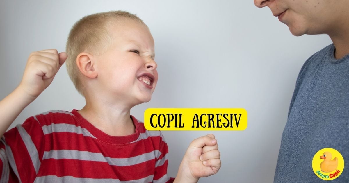 Copilul agresiv: cauze, prevenire și cum reacționăm - sfatul psihologului