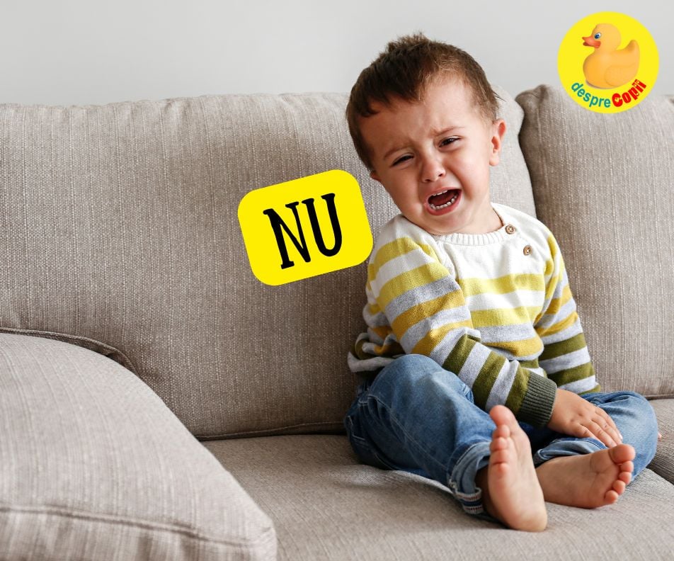 Cand copilul spune NU la orice sau ce afli cand copilul descopera independenta - 10 sfaturi pentru a gestiona corect aceasta etapa