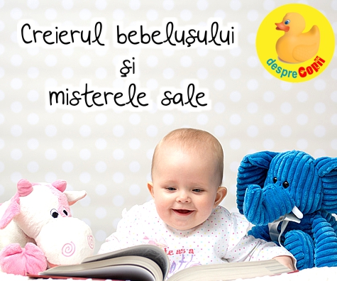 Creierul bebelusului si misterele sale