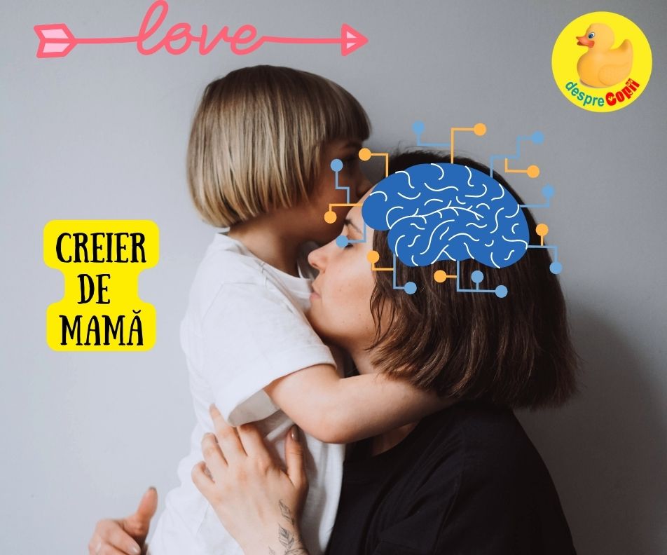 Creier de mama - cum se transforma creierul unei femei dupa ce devine mama si ce emotii se schimba