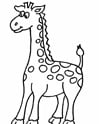 Girafa