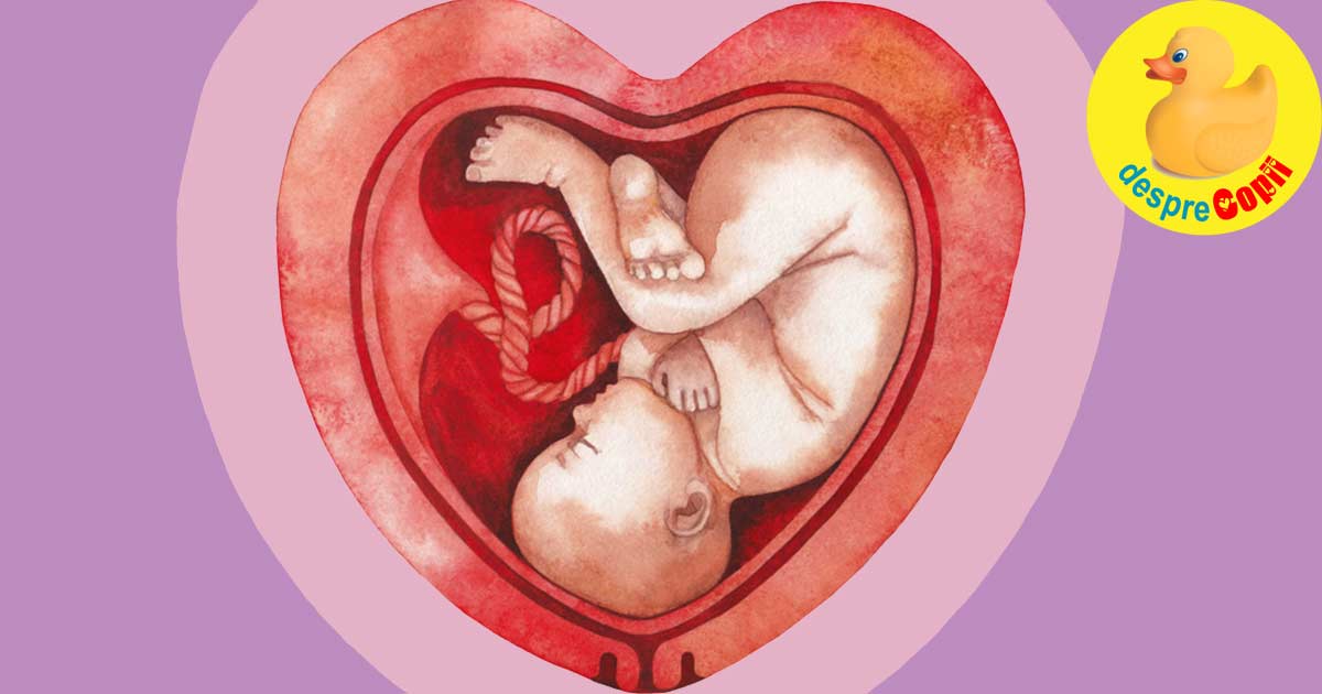 Dezvoltarea intrauterină a bebelușului. Tabel cu valori medii de creștere a fătului în timpul dezvoltării intrauterine
