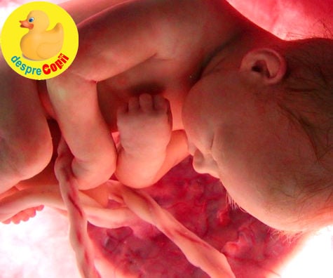 Retardul de creștere intrauterină in sarcină: diagnostic, cauze, efecte și recomandări - sfatul medicului.