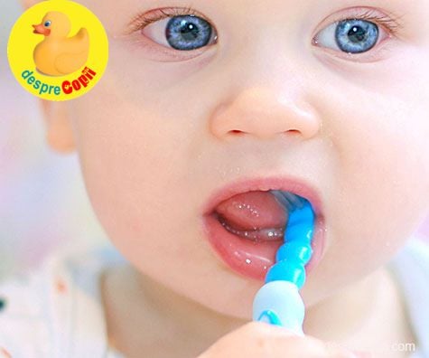 Ghid complet de ingrijire dentara din primul an de viata al copilului - sfatul medicului stomatolog