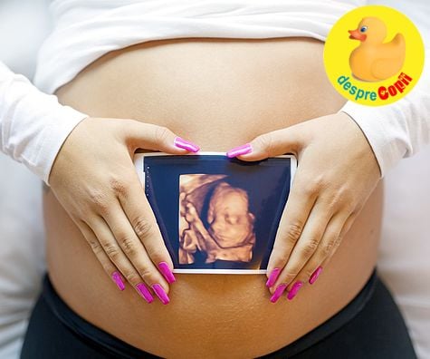 Saptamana 23 de sarcina miscari fetale