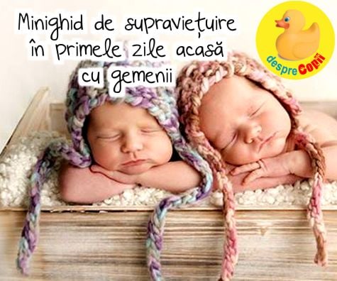 Minighid de supravietuire in primele zile acasă cu nou născutii gemeni