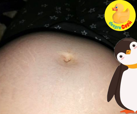 Graviduță pinguin în săptămâna 32 - jurnal de sarcină